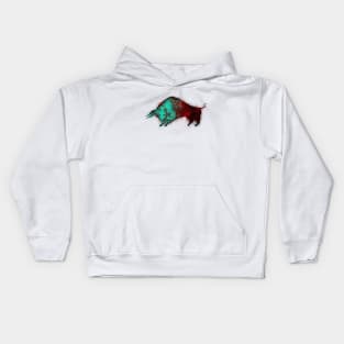 Bull Kids Hoodie